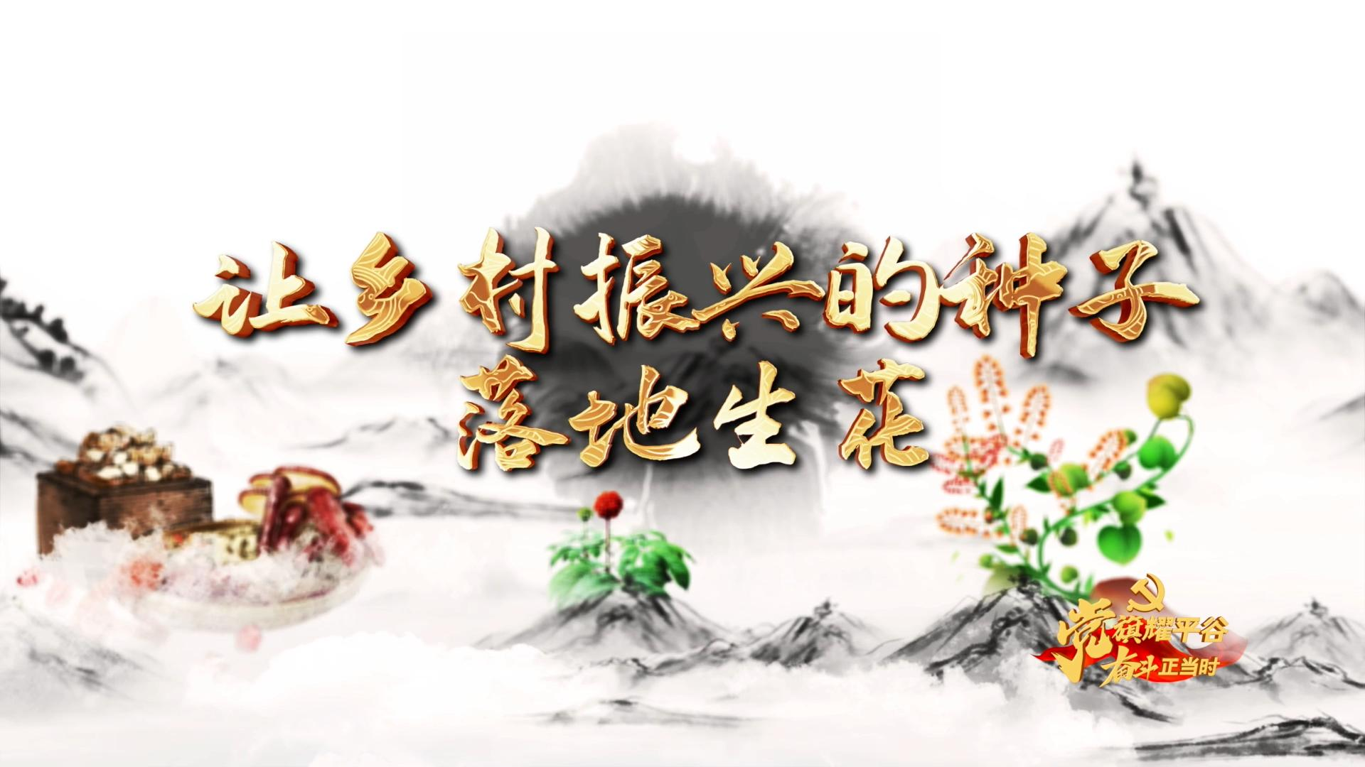 微视频丨王玉奇：让乡村振兴的种子落地生花